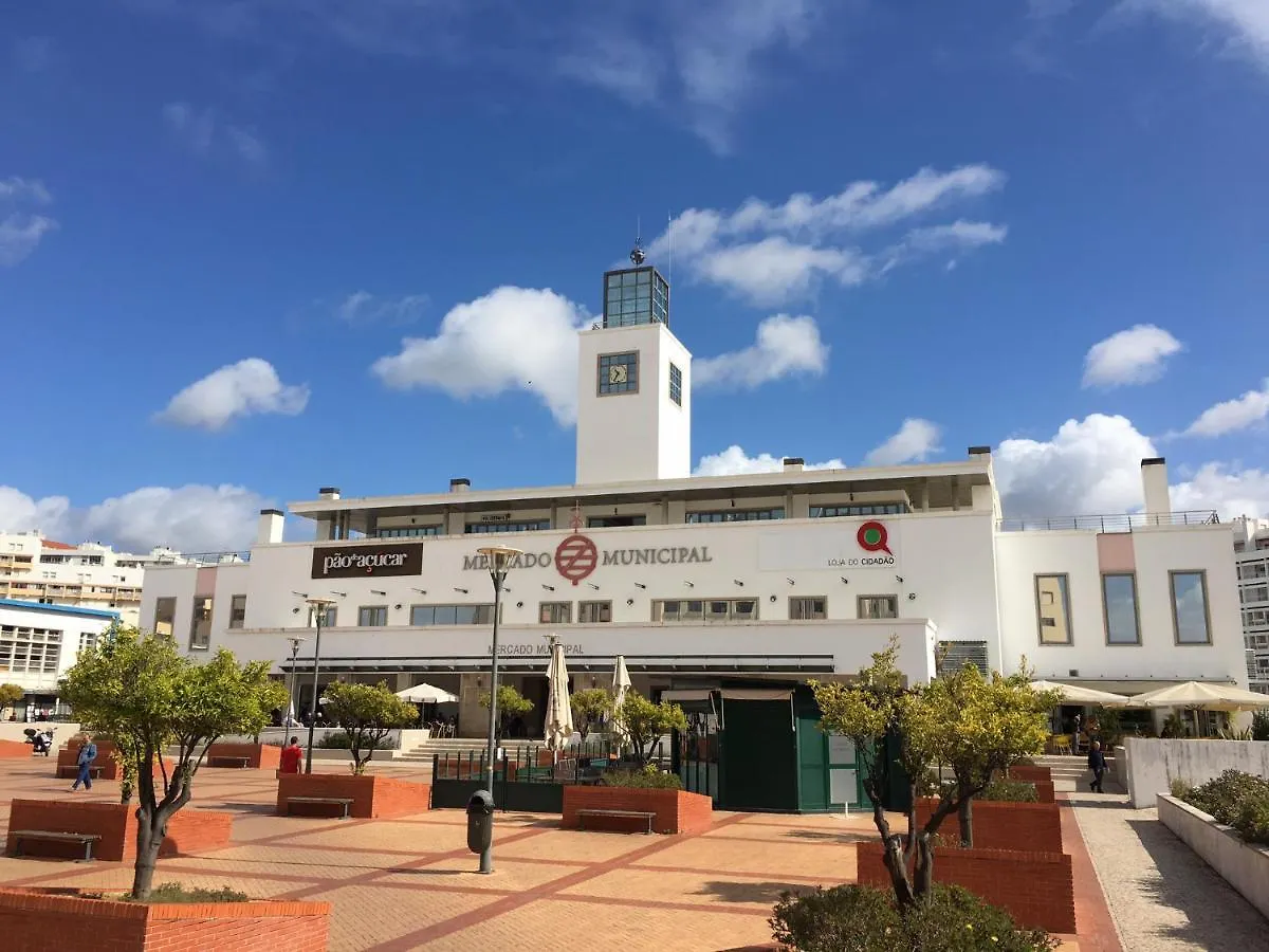 Estudio-Gambelas Faro